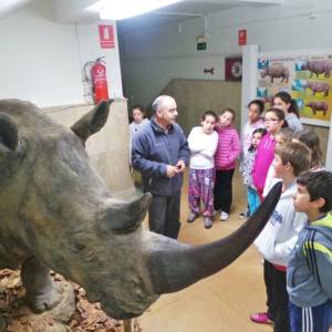 Excursión a León de día completo