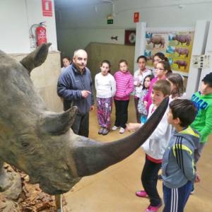 Excursión a la Ciudad de León