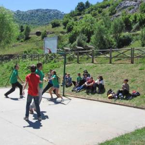 campamento de baloncesto