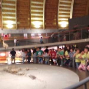 Excursión del campamento a Asturias