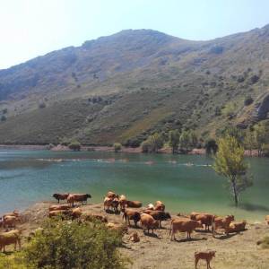 piraguas en el Porma