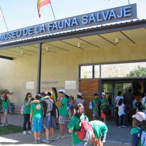 Visita al museo de la Fauna Salvaje