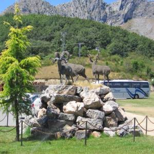 Visita al museo de la Fauna Salvaje