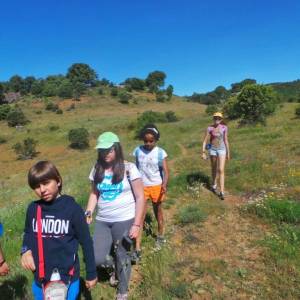 Excursión a Llama de Colle y fósiles