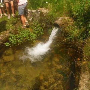 Resumen campamento 2014