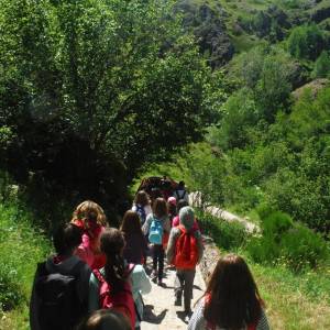 Resumen campamento 2014