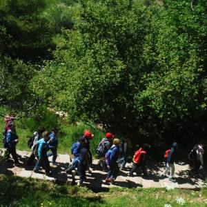 Resumen campamento 2014