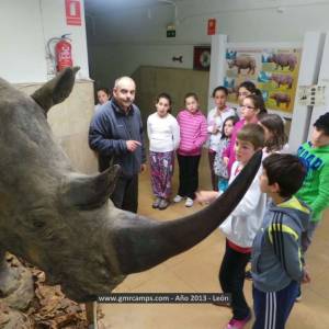 Campamento de inglés en León - Verano 2013