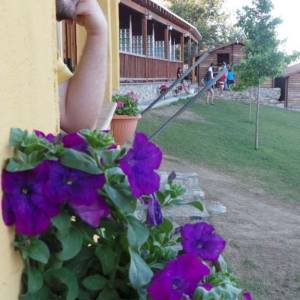 Campamento de inglés en León - Verano 2013