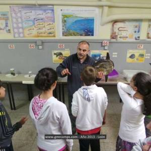 Campamento de inglés en León - Verano 2013