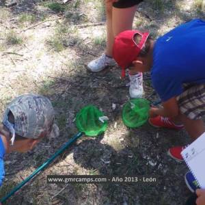 Campamento de inglés en León - Verano 2013