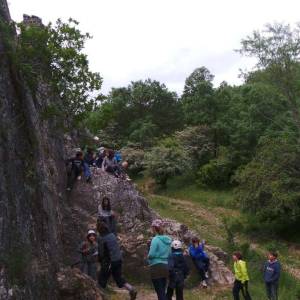 Campamento de inglés en León - Verano 2013