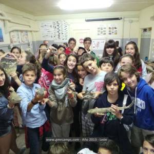 Campamento de inglés en León - Verano 2013