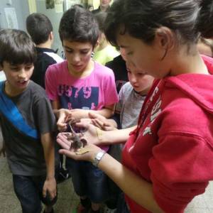 Campamento de inglés en León - Verano 2013