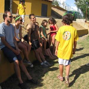 Voleibol