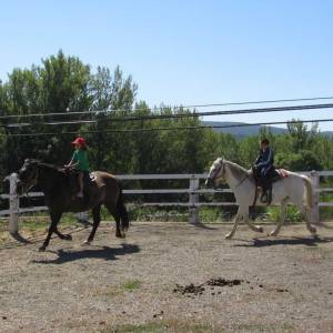 Caballos (Hípica)