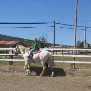 Caballos (Hípica)