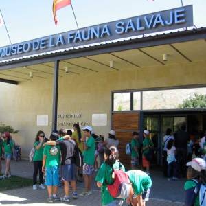 Excursión al Museo de la Fauna Salvaje