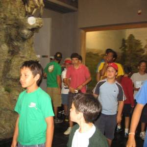 Excursión al Museo de la Fauna Salvaje