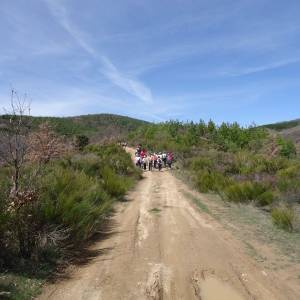 Primer e intenso día de camp