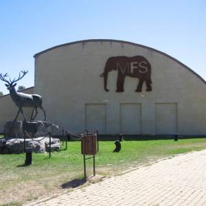 Campamento de inglés 2011