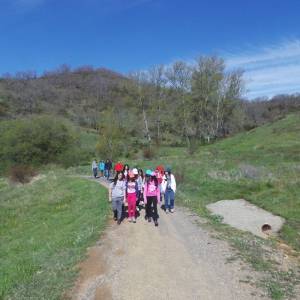Segundo día de campamento - conocemos al nuevo cole que llega