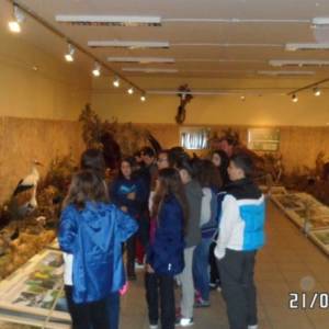 Excursión a León con el Colegio Castilla