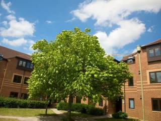 Residencia Crescent Hall, Oxford
