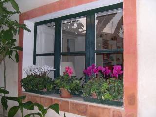 Flores en las ventanas, típico de  la zona